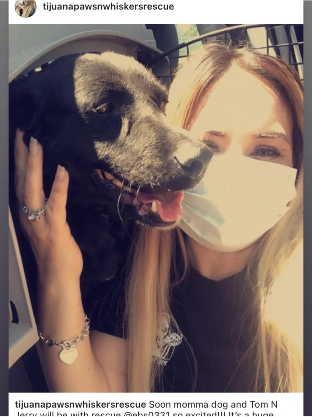 Tijuana Paws n Whiskers Rescue! ❤️